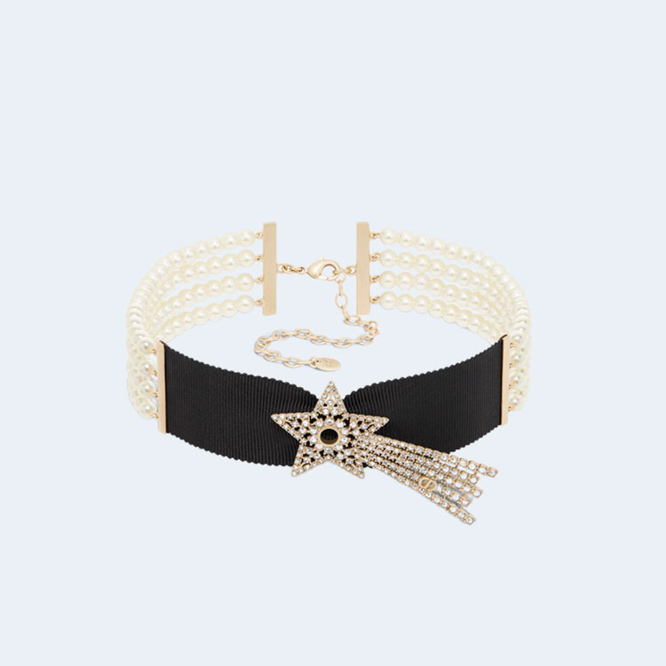 디올 Night Herbarium 초커